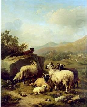 Sheep 083, unknow artist